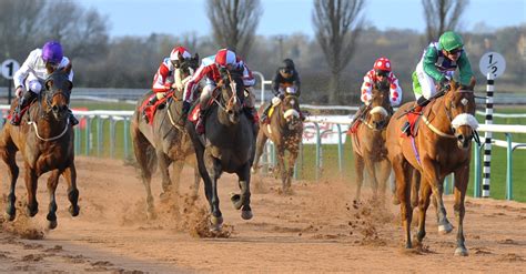 proform horse racing systems